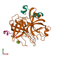 PDB entry 1tmt coloured by chain, front view.