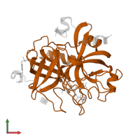 Thrombin heavy chain in PDB entry 1tmu, assembly 1, front view.