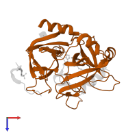 Thrombin heavy chain in PDB entry 1tmu, assembly 1, top view.