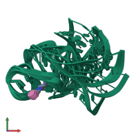 PDB entry 1tob coloured by chain, ensemble of 7 models, front view.