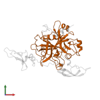 Thrombin heavy chain in PDB entry 1toc, assembly 1, front view.