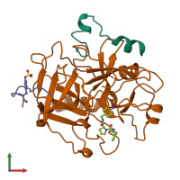 PDB entry 1tom coloured by chain, front view.