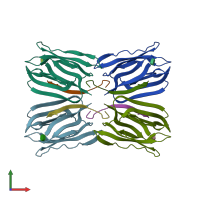 PDB 1tp8 coloured by chain and viewed from the front.
