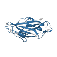 The deposited structure of PDB entry 1tr7 contains 2 copies of Pfam domain PF09160 (FimH, mannose binding) in Type 1 fimbrin D-mannose specific adhesin. Showing 1 copy in chain B [auth A].
