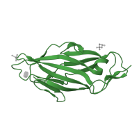 The deposited structure of PDB entry 1tr7 contains 2 copies of SCOP domain 49405 (Pilus subunits) in Type 1 fimbrin D-mannose specific adhesin. Showing 1 copy in chain B [auth A].