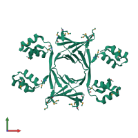 Homo tetrameric assembly 1 of PDB entry 1tr8 coloured by chemically distinct molecules, front view.