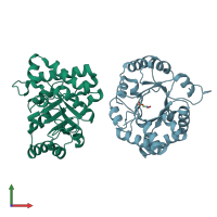 PDB entry 1trd coloured by chain, front view.