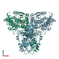 PDB entry 1trk coloured by chain, front view.