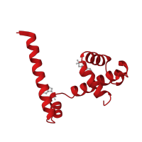 The deposited structure of PDB entry 1tro contains 4 copies of CATH domain 1.10.1270.10 (Trp Operon Repressor; Chain A) in Trp operon repressor. Showing 1 copy in chain E [auth A].