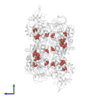 Modified residue MSE in PDB entry 1tt7, assembly 1, side view.