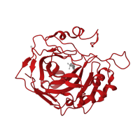 The deposited structure of PDB entry 1ttm contains 1 copy of CATH domain 3.10.200.10 (Carbonic Anhydrase II) in Carbonic anhydrase 2. Showing 1 copy in chain A.