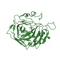 The deposited structure of PDB entry 1ttm contains 1 copy of SCOP domain 51070 (Carbonic anhydrase) in Carbonic anhydrase 2. Showing 1 copy in chain A.