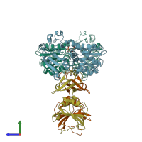 PDB entry 1tu0 coloured by chain, side view.