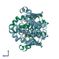 PDB entry 1tu7 coloured by chain, side view.