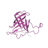 The deposited structure of PDB entry 1twc contains 1 copy of Pfam domain PF03870 (RNA polymerase Rpb8) in DNA-directed RNA polymerases I, II, and III subunit RPABC3. Showing 1 copy in chain F [auth H].