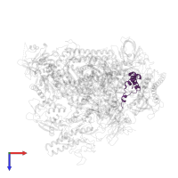 DNA-directed RNA polymerases I, II, and III subunit RPABC5 in PDB entry 1twc, assembly 1, top view.