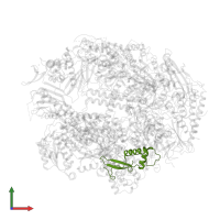 DNA-directed RNA polymerases I, II, and III subunit RPABC2 in PDB entry 1twg, assembly 1, front view.