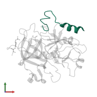 Thrombin light chain in PDB entry 1twx, assembly 1, front view.