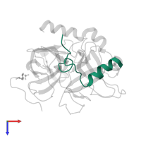 Thrombin light chain in PDB entry 1twx, assembly 1, top view.