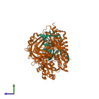 Hetero hexameric assembly 1 of PDB entry 1tx3 coloured by chemically distinct molecules, side view.