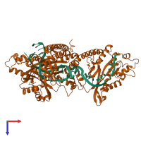 Hetero hexameric assembly 1 of PDB entry 1tx3 coloured by chemically distinct molecules, top view.