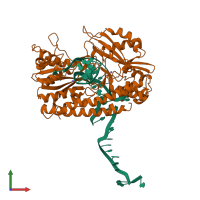 Hetero pentameric assembly 2 of PDB entry 1tx3 coloured by chemically distinct molecules, front view.