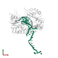 5'-D(*GP*CP*CP*GP*GP*TP*CP*GP*AP*CP*CP*GP*G)-3' in PDB entry 1tx3, assembly 2, front view.