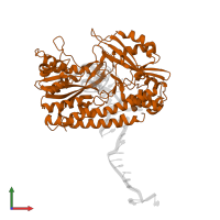 Type II restriction enzyme HincII in PDB entry 1tx3, assembly 2, front view.