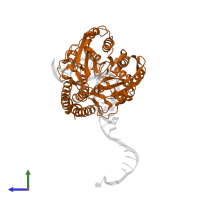 Type II restriction enzyme HincII in PDB entry 1tx3, assembly 2, side view.