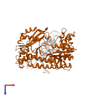 Type II restriction enzyme HincII in PDB entry 1tx3, assembly 2, top view.