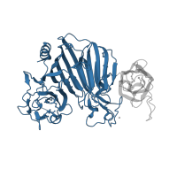 The deposited structure of PDB entry 1txk contains 2 copies of CATH domain 2.70.98.10 (Beta-galactosidase; Chain A, domain 5) in Glucans biosynthesis protein G. Showing 1 copy in chain A.