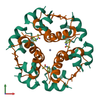 Hetero dodecameric assembly 3 of PDB entry 1tym coloured by chemically distinct molecules, front view.