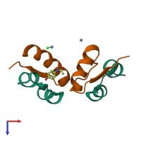 Hetero tetrameric assembly 4 of PDB entry 1tym coloured by chemically distinct molecules, top view.