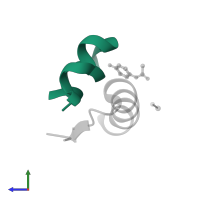 Insulin A chain in PDB entry 1tym, assembly 2, side view.