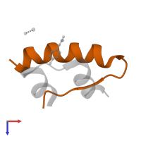 Insulin B chain in PDB entry 1tym, assembly 2, top view.