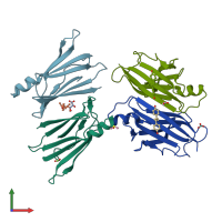 PDB entry 1tz8 coloured by chain, front view.