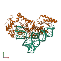PDB entry 1u0b coloured by chain, front view.