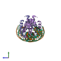 PDB entry 1u0c coloured by chain, ensemble of 2 models, side view.