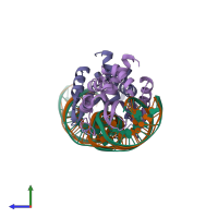 PDB entry 1u0d coloured by chain, ensemble of 2 models, side view.