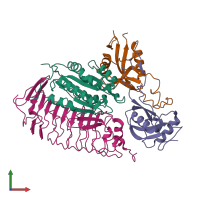 PDB entry 1u0n coloured by chain, front view.