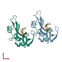PDB entry 1u1b coloured by chain, front view.