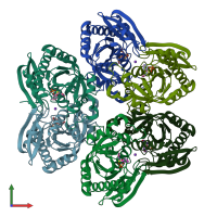 PDB entry 1u1d coloured by chain, front view.