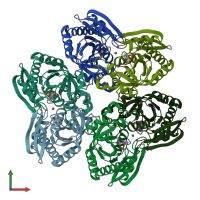 PDB entry 1u1e coloured by chain, front view.