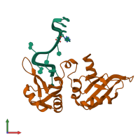 PDB entry 1u1l coloured by chain, front view.