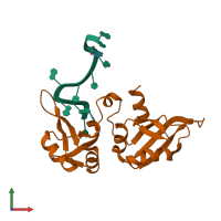 PDB entry 1u1n coloured by chain, front view.