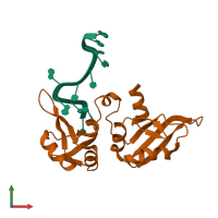 PDB entry 1u1o coloured by chain, front view.