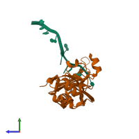 PDB entry 1u1o coloured by chain, side view.