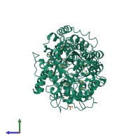 PDB entry 1u1u coloured by chain, side view.