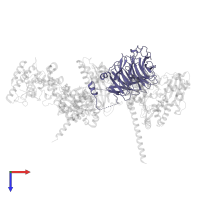 Actin-related protein 2/3 complex subunit 1B in PDB entry 1u2v, assembly 2, top view.