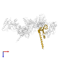 Actin-related protein 2/3 complex subunit 4 in PDB entry 1u2v, assembly 2, top view.